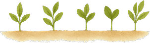 Illustration of four plants growing from soil