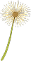 Illustration of a dandelion with a green stem and yellow seeds radiating outward