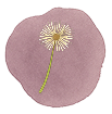 Illustration of white dandelion on mauve watercolor circle