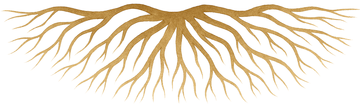 Illustration of brown tree root system