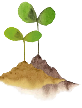 Watercolor illustration of two young green plants sprouting from small mounds of soil