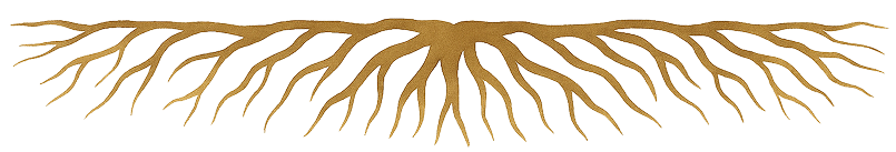 Illustration of brown tree root system